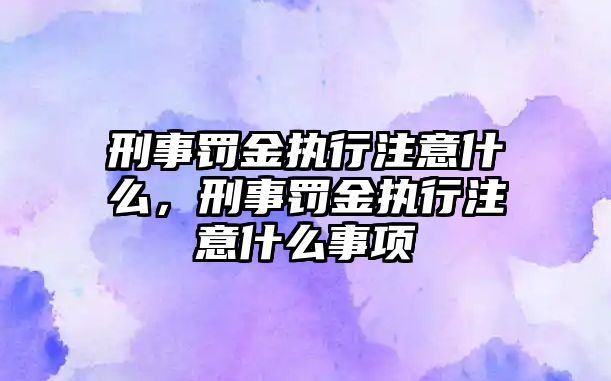 刑事罰金執行注意什么，刑事罰金執行注意什么事項