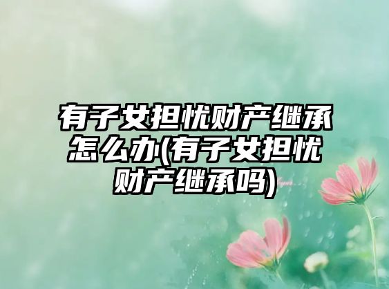 有子女擔憂財產繼承怎么辦(有子女擔憂財產繼承嗎)