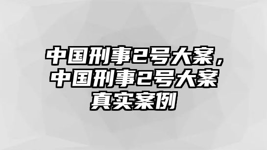 中國刑事2號大案，中國刑事2號大案真實案例