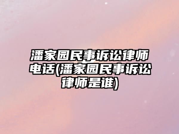 潘家園民事訴訟律師電話(潘家園民事訴訟律師是誰)