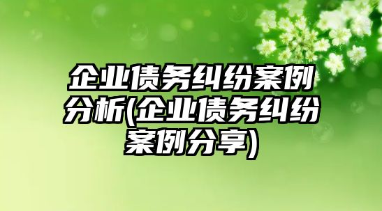 企業債務糾紛案例分析(企業債務糾紛案例分享)