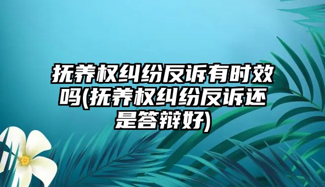 撫養(yǎng)權糾紛反訴有時效嗎(撫養(yǎng)權糾紛反訴還是答辯好)