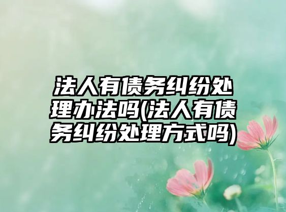 法人有債務糾紛處理辦法嗎(法人有債務糾紛處理方式嗎)