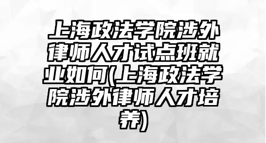 上海政法學院涉外律師人才試點班就業如何(上海政法學院涉外律師人才培養)