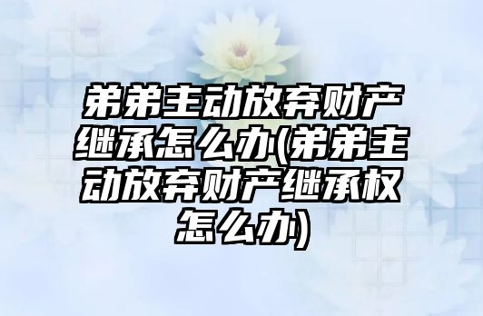 弟弟主動放棄財產繼承怎么辦(弟弟主動放棄財產繼承權怎么辦)