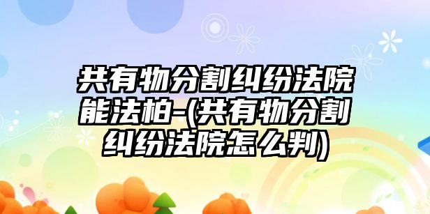 共有物分割糾紛法院能法柏-(共有物分割糾紛法院怎么判)