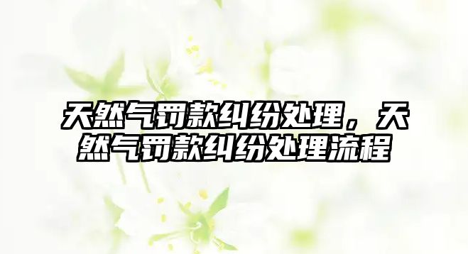 天然氣罰款糾紛處理，天然氣罰款糾紛處理流程