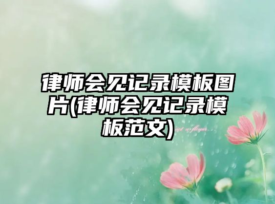 律師會見記錄模板圖片(律師會見記錄模板范文)