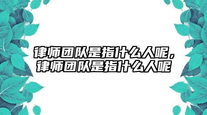 律師團隊是指什么人呢，律師團隊是指什么人呢