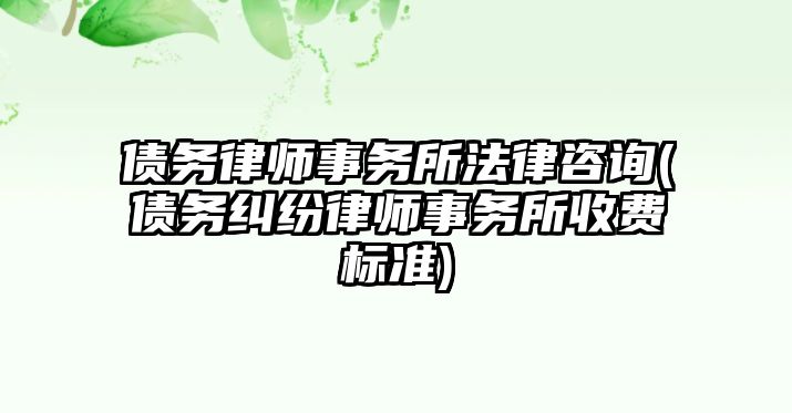 債務律師事務所法律咨詢(債務糾紛律師事務所收費標準)