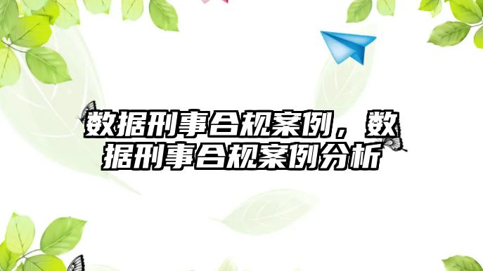 數(shù)據(jù)刑事合規(guī)案例，數(shù)據(jù)刑事合規(guī)案例分析