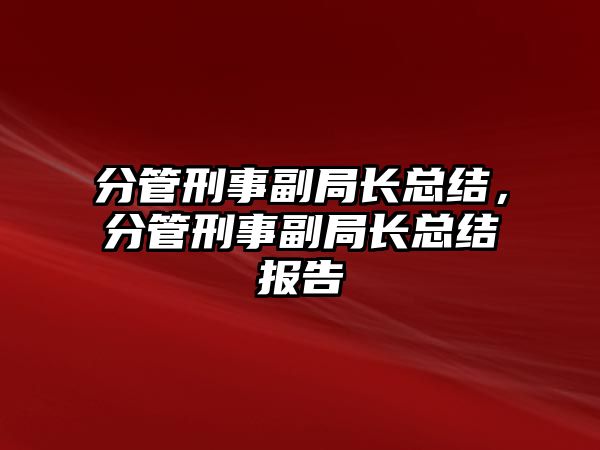 分管刑事副局長總結，分管刑事副局長總結報告