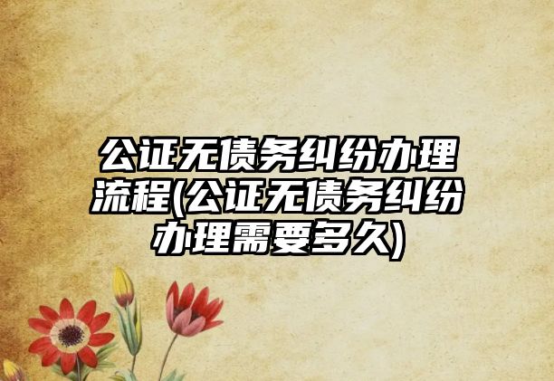 公證無債務糾紛辦理流程(公證無債務糾紛辦理需要多久)