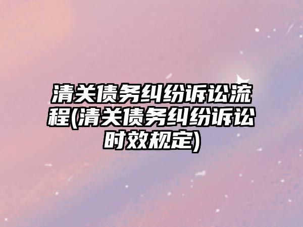 清關債務糾紛訴訟流程(清關債務糾紛訴訟時效規定)