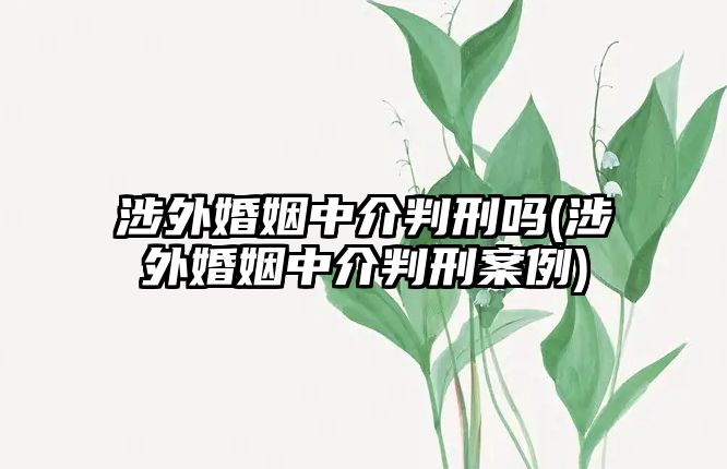 涉外婚姻中介判刑嗎(涉外婚姻中介判刑案例)