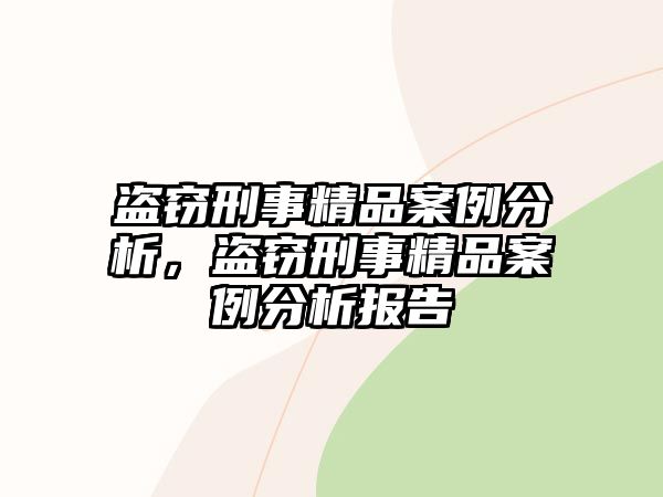 盜竊刑事精品案例分析，盜竊刑事精品案例分析報(bào)告