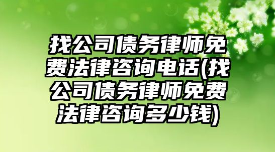 找公司債務律師免費法律咨詢電話(找公司債務律師免費法律咨詢多少錢)