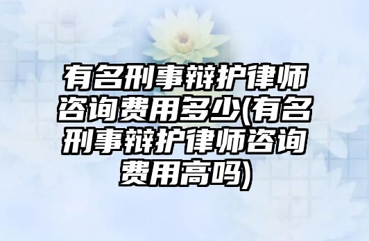 有名刑事辯護(hù)律師咨詢費(fèi)用多少(有名刑事辯護(hù)律師咨詢費(fèi)用高嗎)