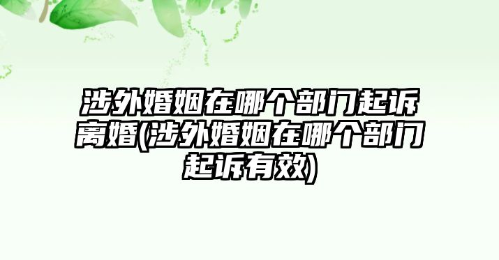 涉外婚姻在哪個部門起訴離婚(涉外婚姻在哪個部門起訴有效)