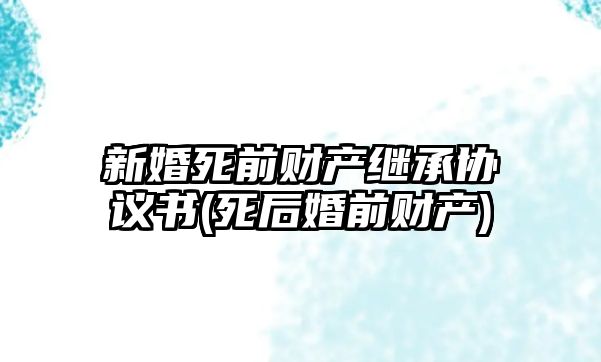 新婚死前財產繼承協議書(死后婚前財產)