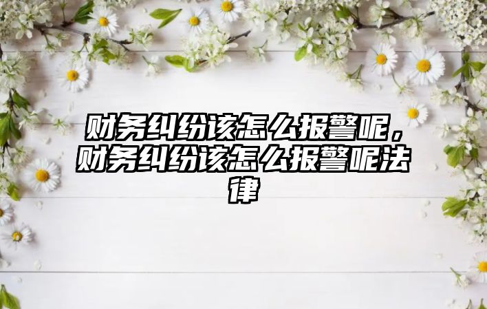 財務糾紛該怎么報警呢，財務糾紛該怎么報警呢法律