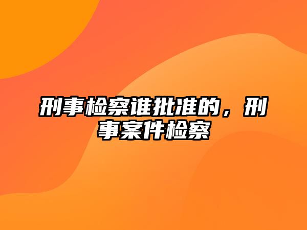 刑事檢察誰批準的，刑事案件檢察