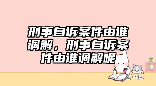 刑事自訴案件由誰調解，刑事自訴案件由誰調解呢