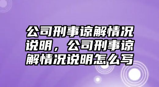 公司刑事諒解情況說明，公司刑事諒解情況說明怎么寫