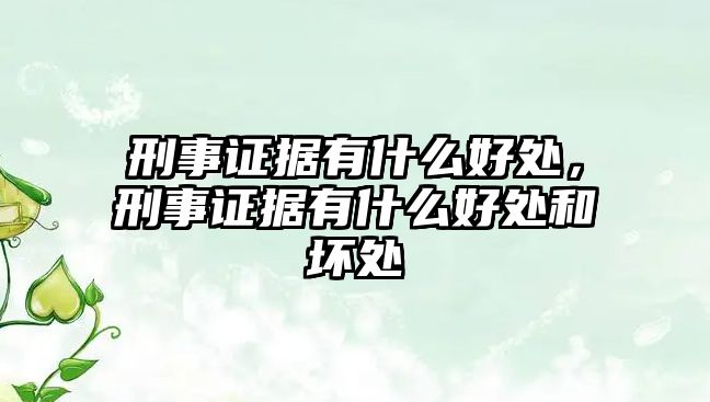 刑事證據(jù)有什么好處，刑事證據(jù)有什么好處和壞處