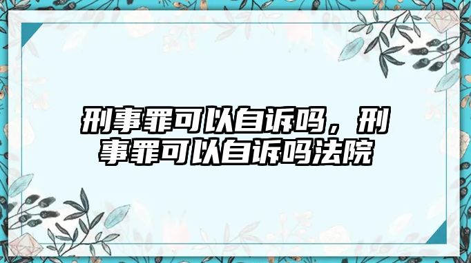 刑事罪可以自訴嗎，刑事罪可以自訴嗎法院