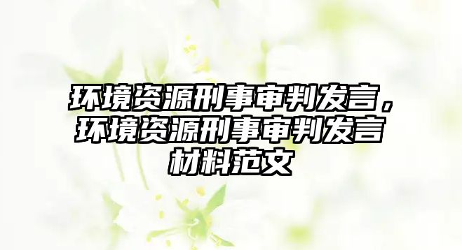 環境資源刑事審判發言，環境資源刑事審判發言材料范文