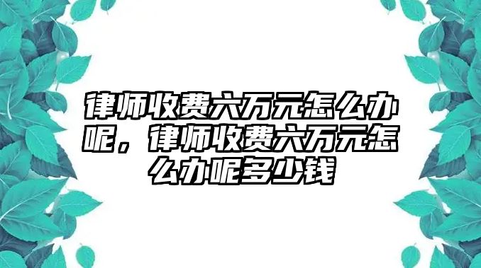 律師收費六萬元怎么辦呢，律師收費六萬元怎么辦呢多少錢