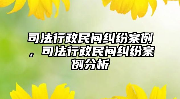 司法行政民間糾紛案例，司法行政民間糾紛案例分析