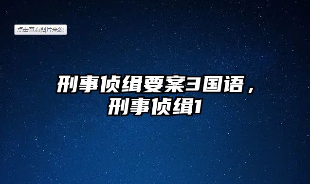 刑事偵緝要案3國語，刑事偵緝1