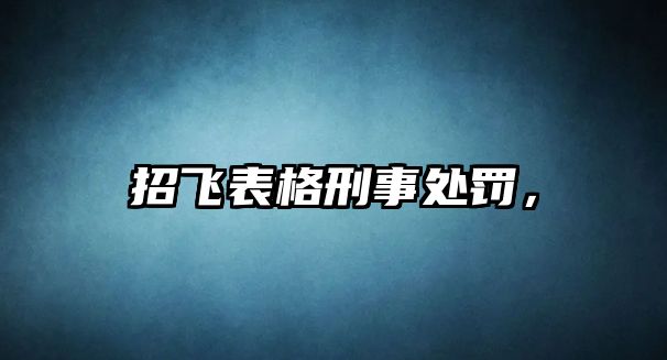 招飛表格刑事處罰，