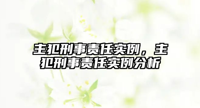 主犯刑事責(zé)任實例，主犯刑事責(zé)任實例分析