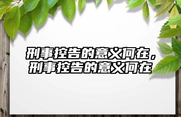 刑事控告的意義何在，刑事控告的意義何在