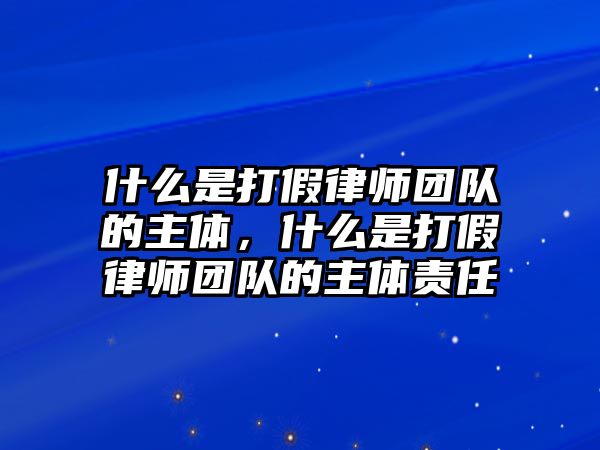 什么是打假律師團隊的主體，什么是打假律師團隊的主體責任