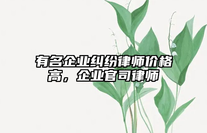 有名企業(yè)糾紛律師價(jià)格高，企業(yè)官司律師