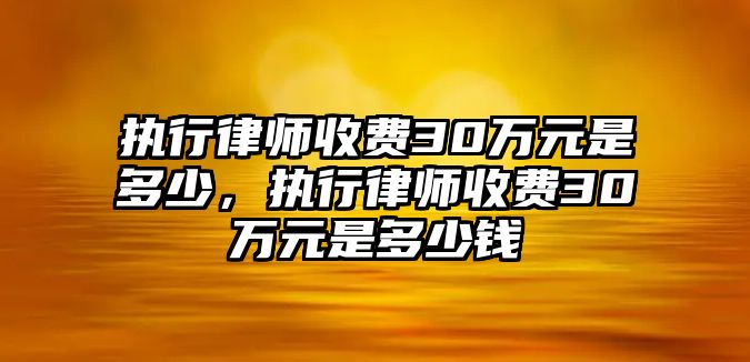 執(zhí)行律師收費30萬元是多少，執(zhí)行律師收費30萬元是多少錢