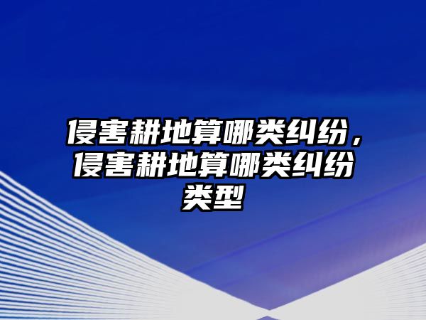 侵害耕地算哪類糾紛，侵害耕地算哪類糾紛類型