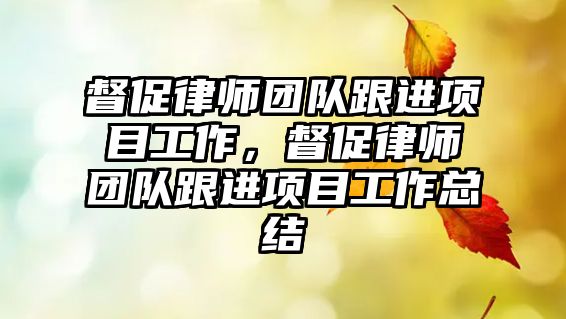 督促律師團隊跟進項目工作，督促律師團隊跟進項目工作總結