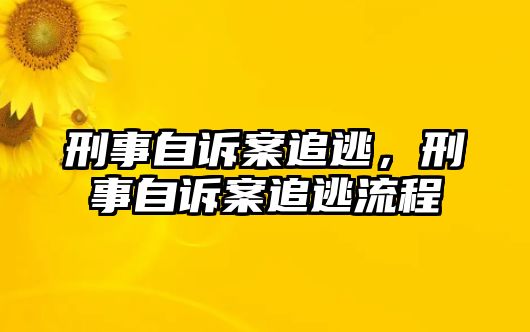 刑事自訴案追逃，刑事自訴案追逃流程