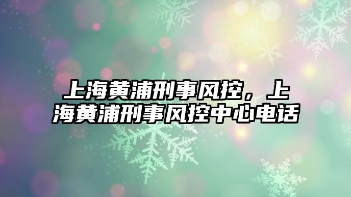 上海黃浦刑事風(fēng)控，上海黃浦刑事風(fēng)控中心電話