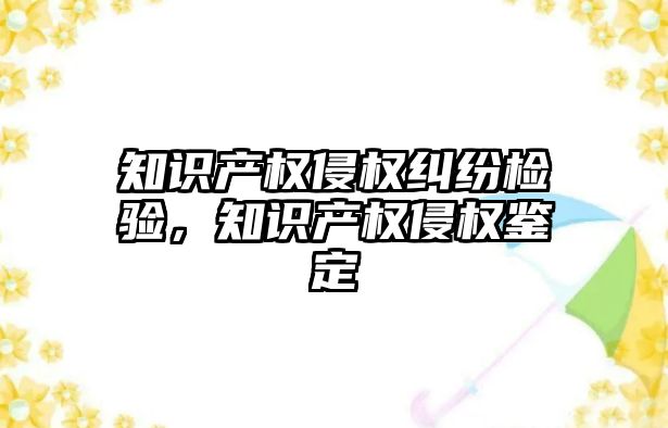 知識產權侵權糾紛檢驗，知識產權侵權鑒定