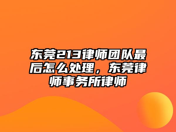 東莞213律師團隊最后怎么處理，東莞律師事務所律師