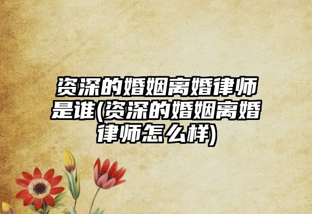 資深的婚姻離婚律師是誰(資深的婚姻離婚律師怎么樣)